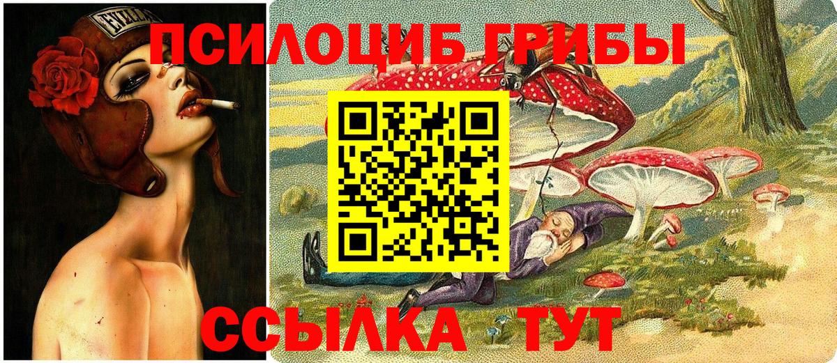 Новокубанск  Галлюциногенные грибы Psilocybe  Вход с VPN 