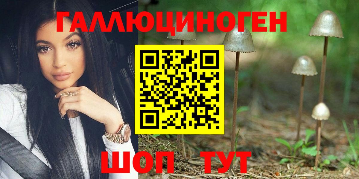Псилоцибиновые грибы ЛСД Новокубанск